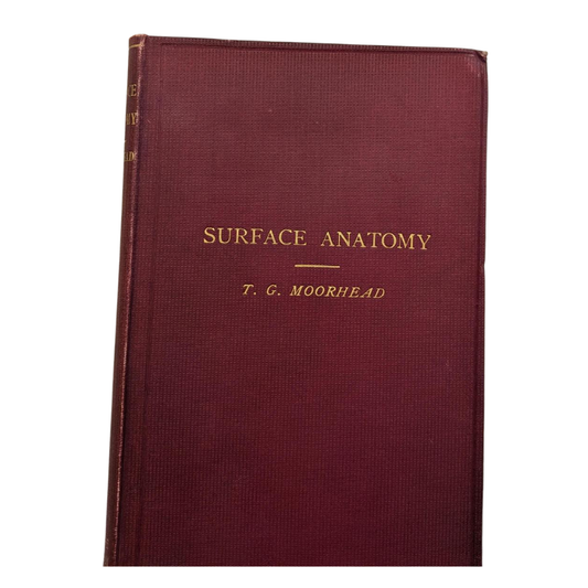 Surface Anatomy - T.G. Moorhead